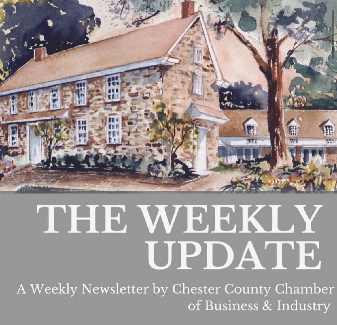 Weekly-Update-Photo